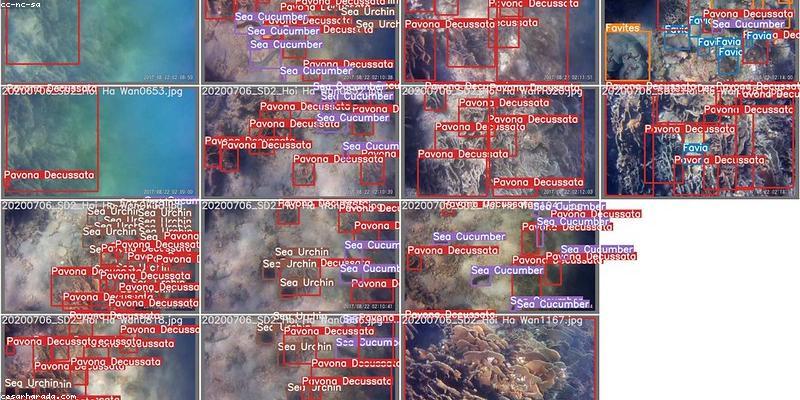 AI 코딩 도우미란 무엇인가? 개발 생산성 혁명의 시작