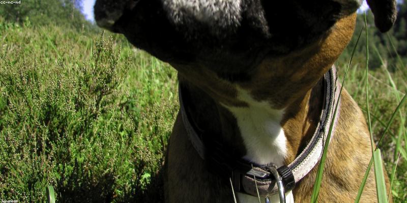 알레르기 비염 증상 자가 진단: 나는 몇 개나 해당될까?