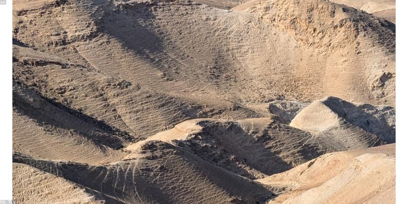 감정을 연기하는 안드로이드 '리아'의 등장