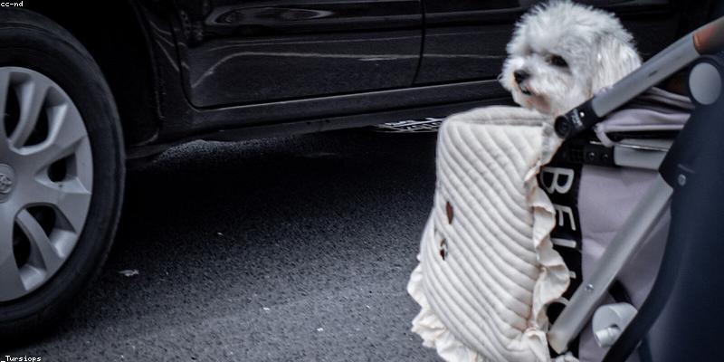프롤로그: 황혼이 드리운 도시, 그림자 속에서 깨어나는 사냥꾼