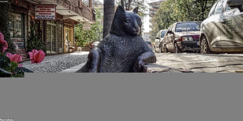 AI 기반 코드 완성 도구 비교 분석: GitHub Copilot, Tabnine, Codeium