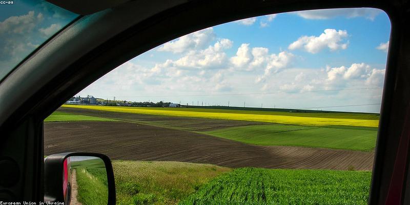 서론: 2026년 개발 환경 변화와 생산성의 중요성