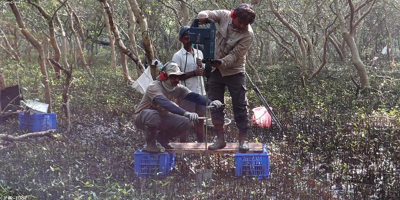 서론: 2026년 개발 환경 변화와 생산성 앱의 중요성