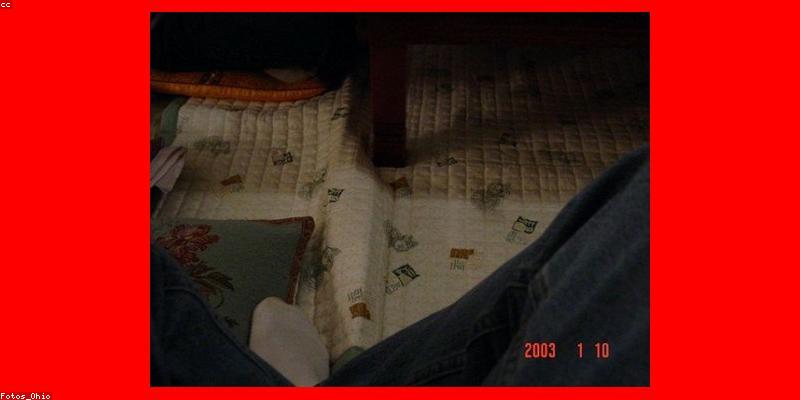 중동 분쟁에도 꺾이지 않는 K-푸드 신드롬! 한국 식품 30% 폭발적 성장 비결