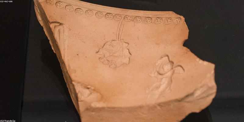 집 안 곰팡이, 왜 생기는 걸까요? (곰팡이 발생 원인 분석)