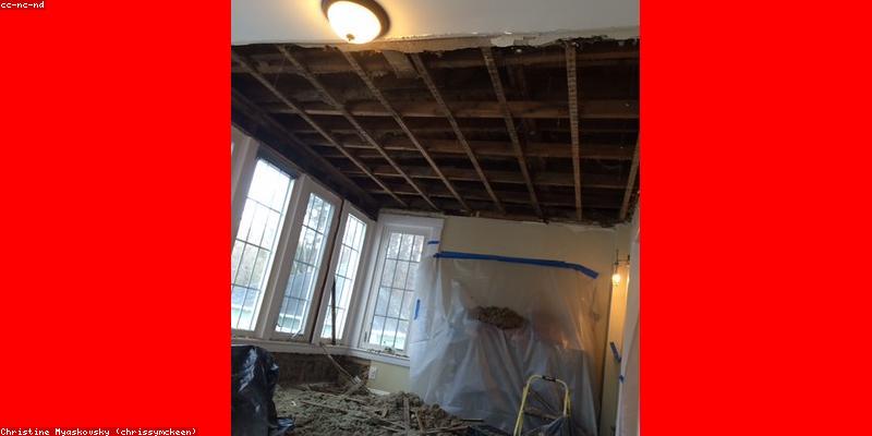 1단계: 곰팡이 완벽 제거! 원인 분석 & 맞춤 솔루션 (feat. 친환경 세제 vs 강력 세정제)