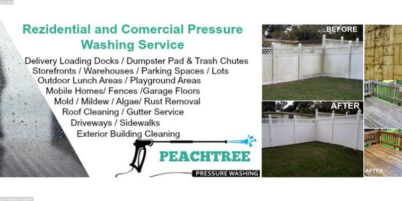 본론 2: 곰팡이와의 전쟁 선포! 주방 곰팡이 완벽 제거 및 예방 노하우 대공개