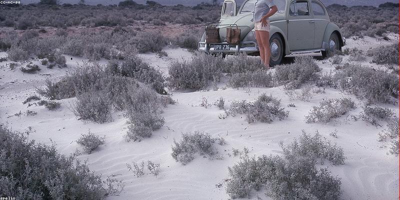 2. 아이유와 변우석의 만남! 로맨스 대작 <21세기 대군부인> 관전 포인트