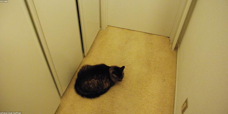 냉장고 정리, 왜 해야 할까요? (음식 낭비 실태와 경제적 손실)