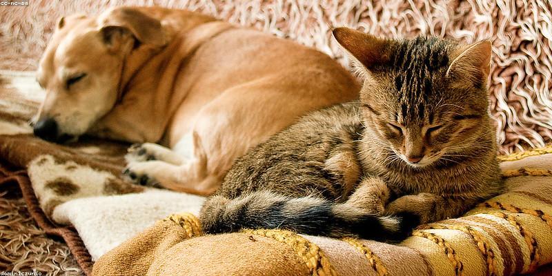 수면 문제의 원인과 중요성: 왜 숙면이 필요할까?