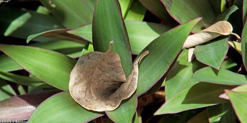 수면의 질 높이는 5가지 방법: 다이어트에 최적화된 수면 환경 만들기