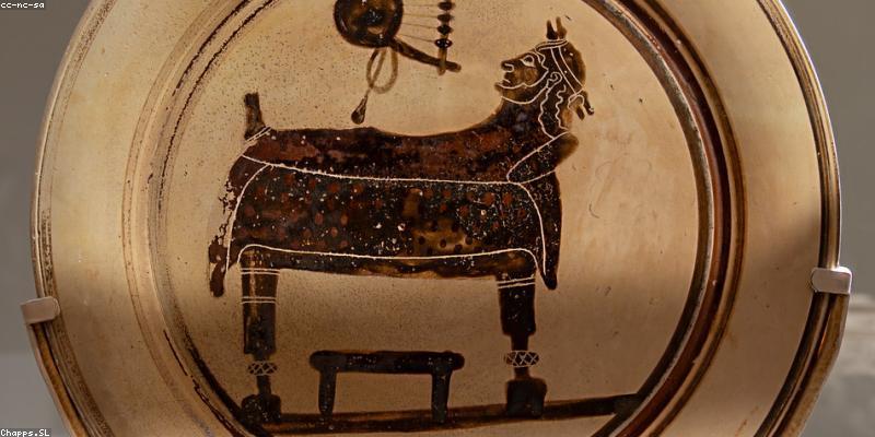 40대 여성 다이어트, 왜 수면이 중요할까? (호르몬 변화와 수면 부족의 악순환)