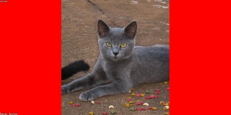 직장인을 위한 맞춤 수면 다이어트 성공 3단계 전략