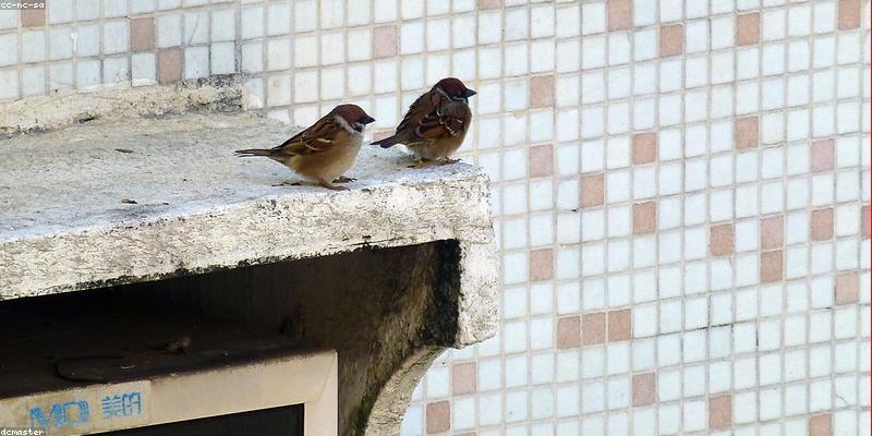 들어가기 전에: 자취 생활, 왜 공간 해킹이 중요할까?
