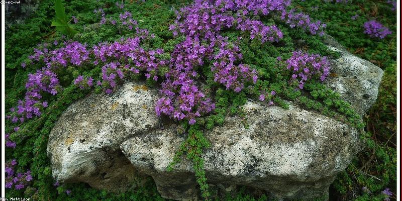 들어가기: 야근 후 뻐근함, 왜 스트레칭이 필수일까요?